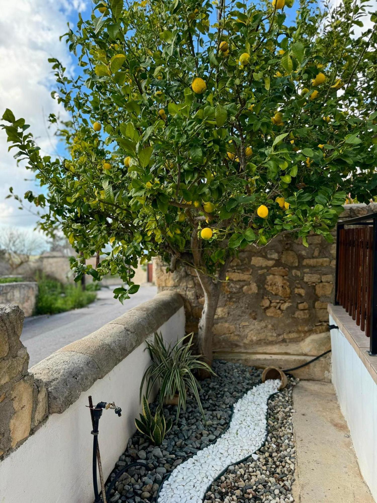 Mariarodes House Villa Pano Arodes Exterior foto